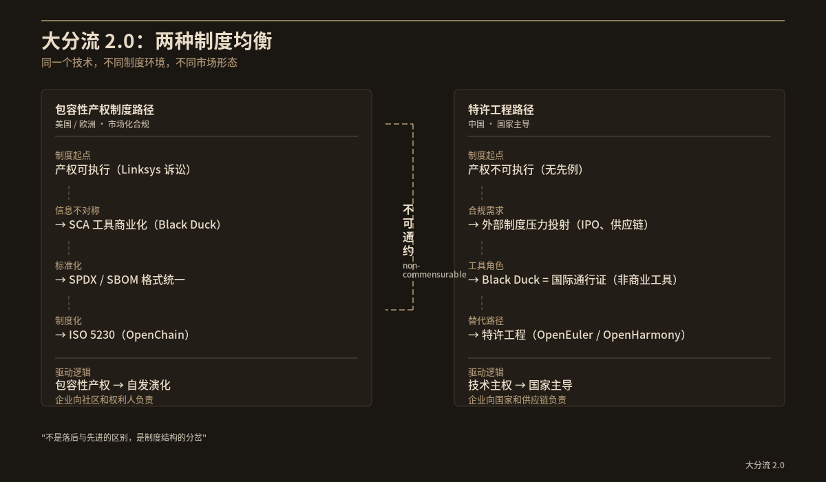 大分流 2.0：两种制度均衡